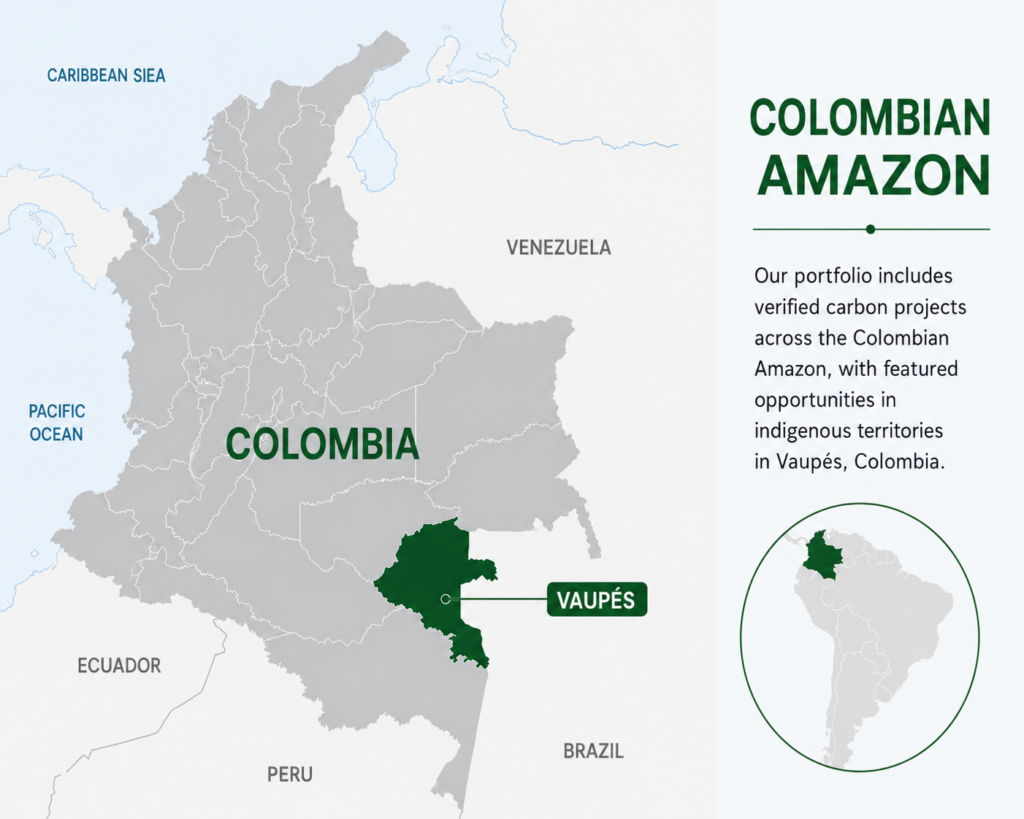 Carbon Portfolio mapa completo