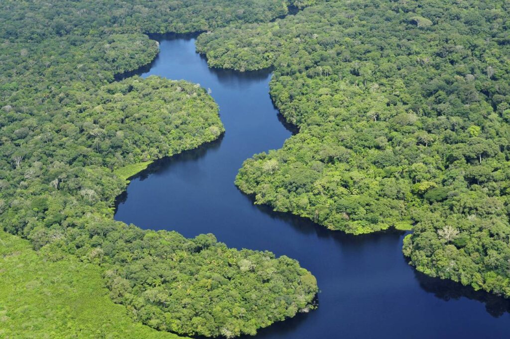 amazonia colombiana